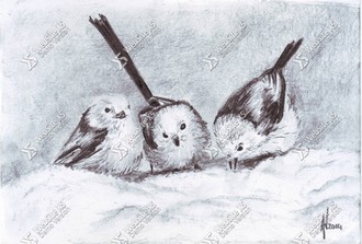 Three Little Birds