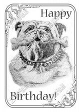 Verjaardagskaart Bulldog