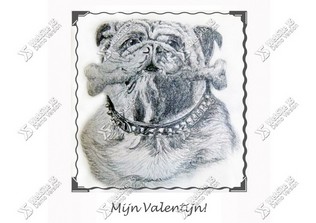 Valentijnskaart Bulldog