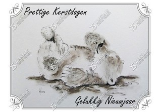 Kerstkaart Ijsbeer