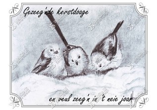 Kerstkaart Gronings Staartmezen
