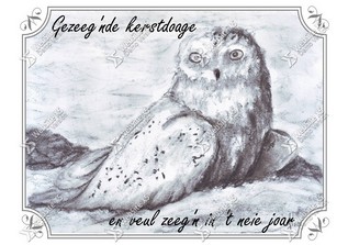 Kerstkaart Gronings Uil