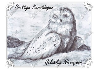 Kerstkaart Sneeuwuil