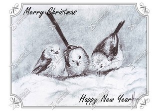 Kerstkaart Engels Tailed Tits