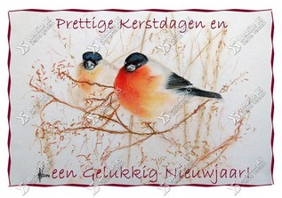 Kerstkaart Vogeltjes